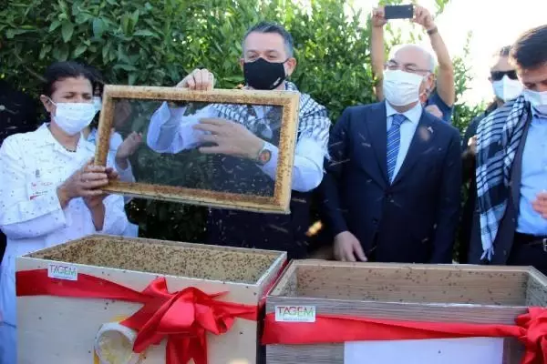 Son dakika... BAKAN PAKDEMİRLİ GIDA FİYATLARINDAKİ ARTIŞ İÇİN ÇÖZÜM ÇALIŞMALARI DEVAM EDİYOR