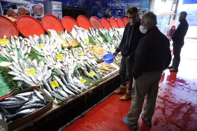 Balık tezgahlarında lüfer bolluğu yaşanıyor