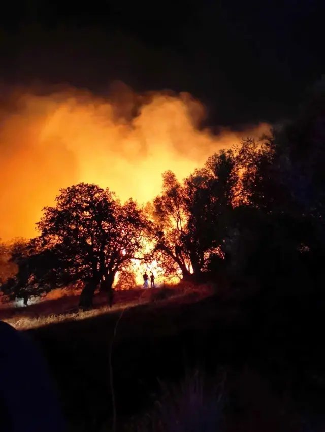 Bodrum'daki yangın fırtınaya rağmen kısa sürede söndürüldü