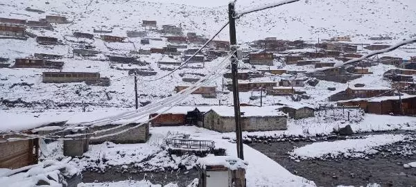 Doğu Karadeniz'de yaylalar beyaza büründü