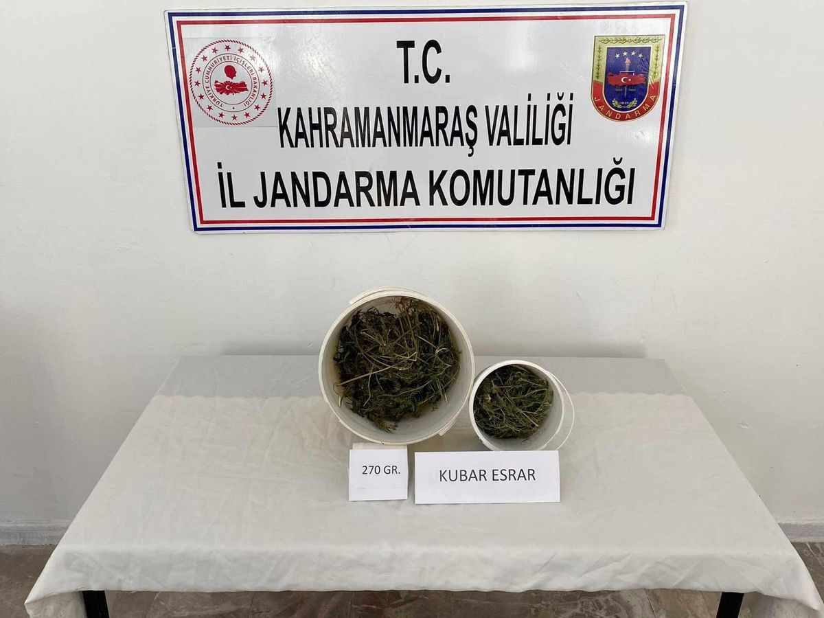 Son dakika haberi: Kahramanmaraş'ta uyuşturucuya 1 gözaltı