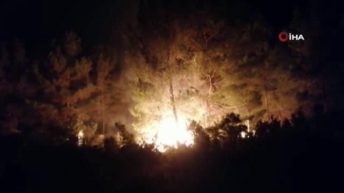 Manavgat'ta ormanlık alan alan alev alev yandı