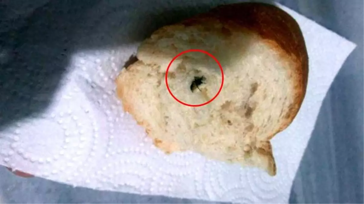 Mide bulandıran olay! Marketten aldığı ekmeğin içinden sinek çıktı