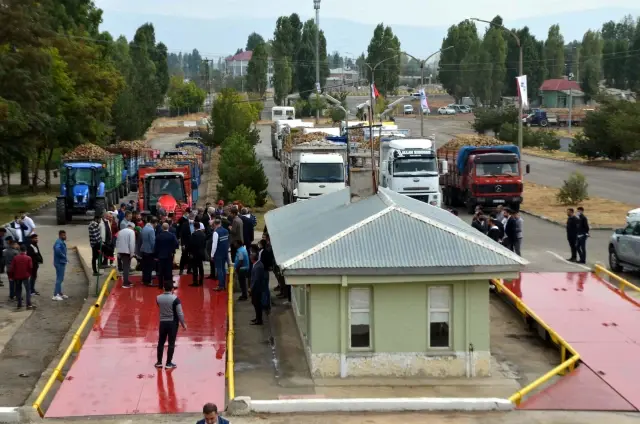 Muş'ta pancar alım kampanyası başladı