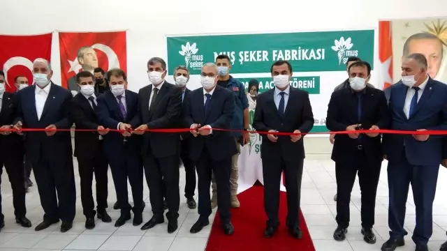 Muş'ta pancar alım kampanyası başladı
