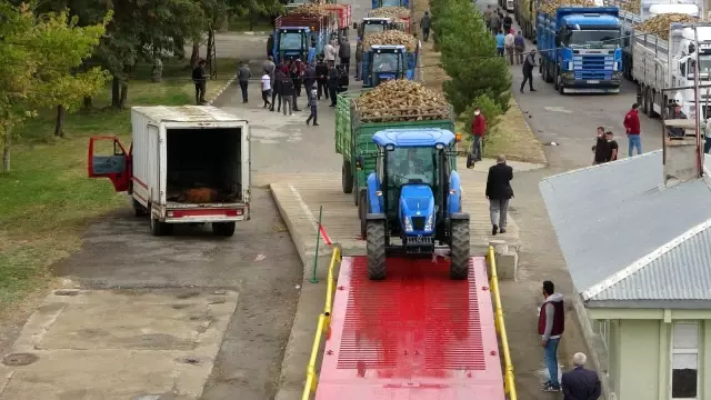 Muş'ta pancar alım kampanyası başladı