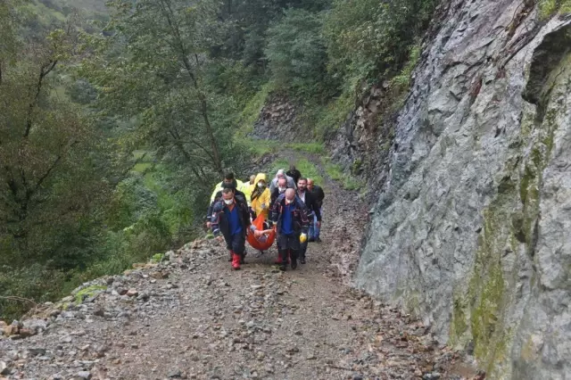Ordu'da hastalanan kişi sedyede 2 kilometre taşınarak ambulansa alındı