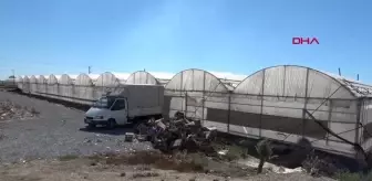 Antalya Büyükşehir Belediyesi: SAZLIK ALANDA ÇIKAN YANGIN, GÜÇLÜKLE KONTROL ALTINA ALINDI Antalya Büyükşehir Belediyesi: SAZLIK ALANDA ÇIKAN YANGIN, GÜÇLÜKLE KONTROL ALTINA ALINDI