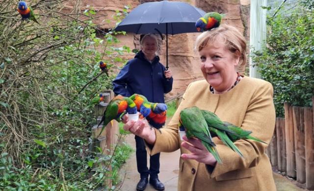 16 yıllık vazifesini bırakmaya hazırlanıyor! Merkel'in veda cinsine güç anları damga vurdu