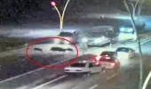 Yolun karşısına geçmeye çalışan domuz sürüsü, zincirleme kazaya neden oldu