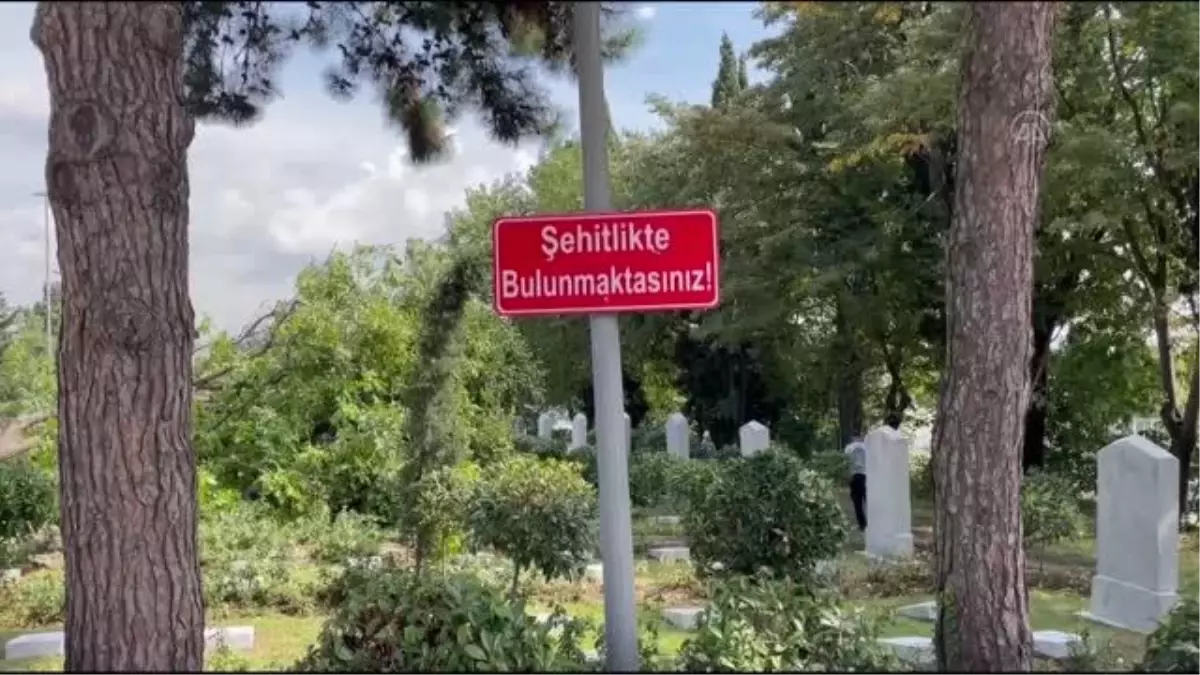 Son dakika: Edirnekapı Şehitliği'nde kesilen ağacın mezarların üzerine devrilmesi tepki çekti