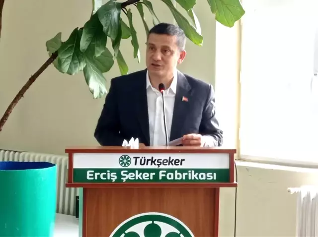 Erciş'te şeker pancarı alımı başladı