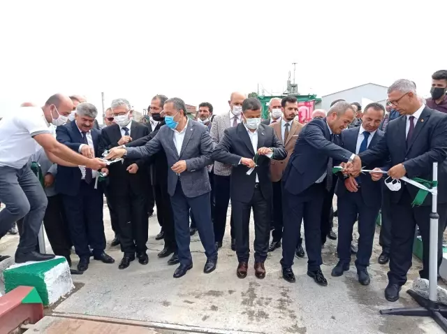 Erciş'te şeker pancarı alımı başladı