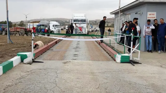Erciş'te şeker pancarı alımı başladı