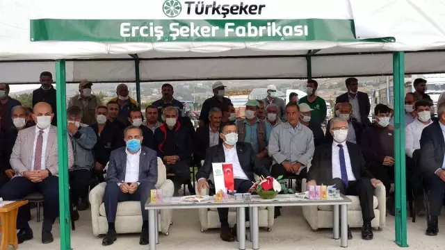 Erciş'te şeker pancarı alımı başladı