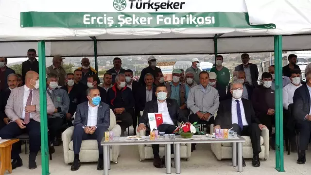Erciş'te şeker pancarı alımı başladı