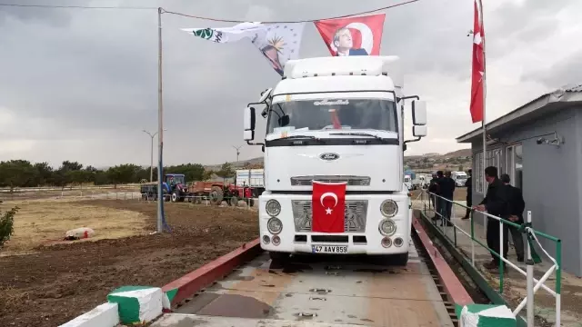 Erciş'te şeker pancarı alımı başladı