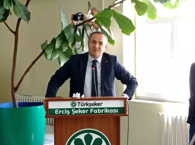 Erciş'te şeker pancarı alımı başladı