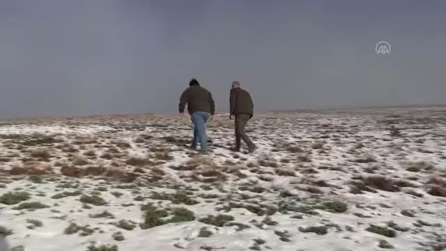 Kar ve sonbahar renkleri güzel manzaralar oluşturdu