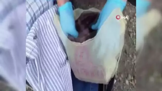 Kars'ta uyuşturucu narkotik köpek Daxo'ya takıldı