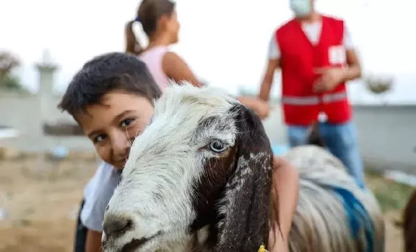 Türk Kızılaydan Manavgat'taki yangından zarar gören ailelere küçükbaş hayvan yardımı