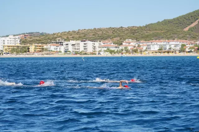 BALIKESİR - Açık Su Yüzme Şampiyonası, Ayvalık'ta yapıldı