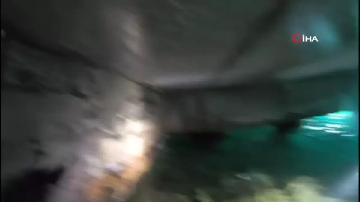 Beykoz İskelesi'nde mahsur kalan kedi Sahil Güvenlik Komutanlığı ekiplerince kurtarıldı