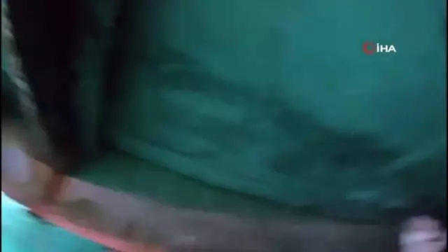 Beykoz İskelesi'nde mahsur kalan kedi Sahil Güvenlik Komutanlığı ekiplerince kurtarıldı