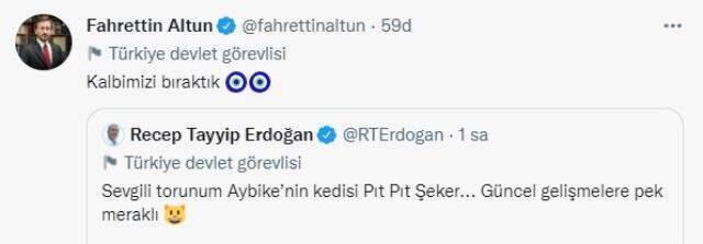 Cumhurbaşkanı Erdoğan, torununun kedisiyle fotoğrafını paylaştı