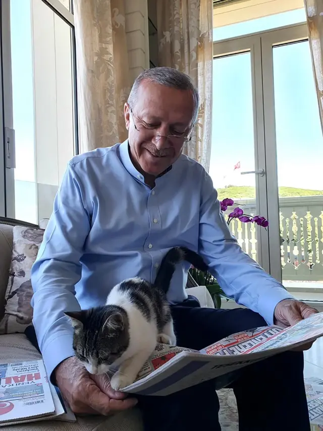 Cumhurbaşkanı Erdoğan'ın torununun kedisiyle fotoğrafını paylaştı