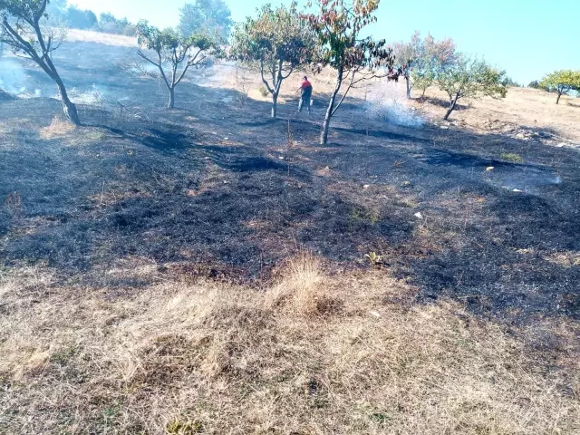 Otluk alanda çıkan yangın büyümeden söndürüldü