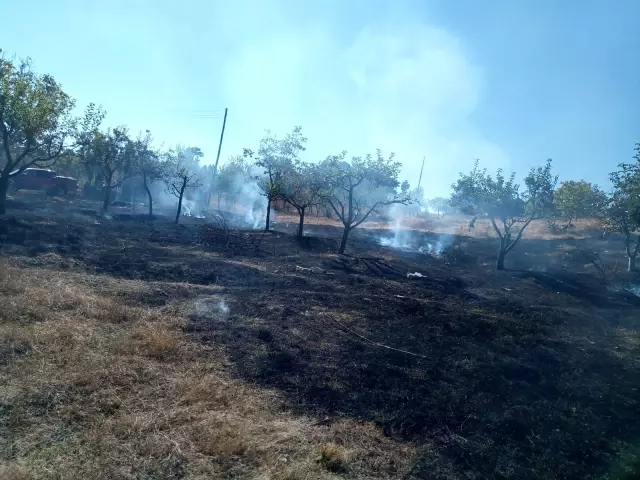 Otluk alanda çıkan yangın büyümeden söndürüldü