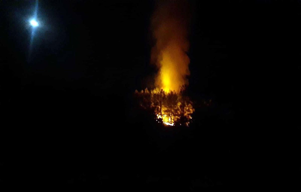 Son dakika haber | Fethiye'de orman yangını