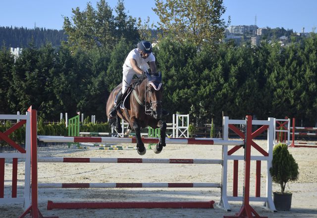 genclik ve spor bakanligi kupasi engel atlama 3 14421473 o