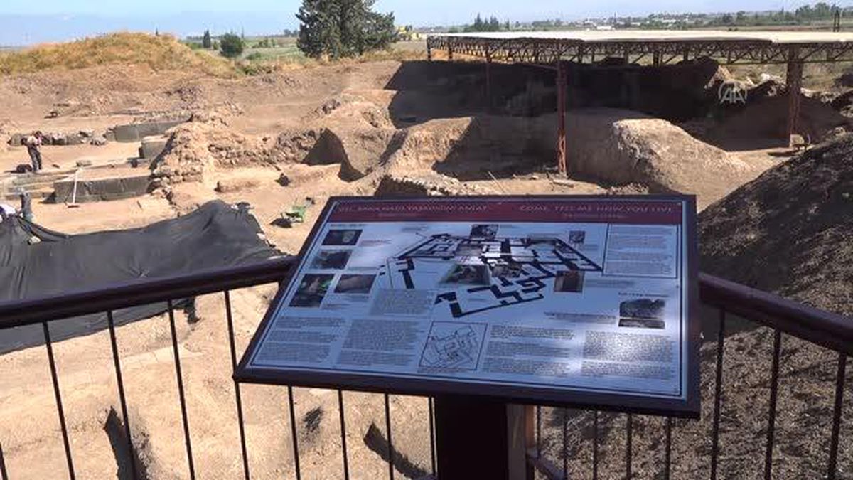 Öğrenciyken adım attıkları höyükte başkent 'Alalah'ı gün yüzüne çıkarıyorlar