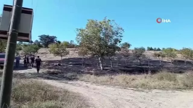 Otluk alanda çıkan yangın büyümeden söndürüldü