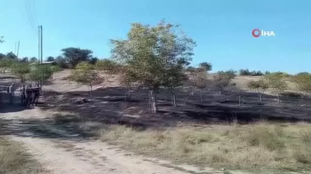 Otluk alanda çıkan yangın büyümeden söndürüldü