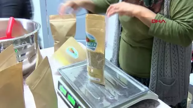 ÖZEL - Kanseri yendi, kooperatif kurup kadınlara istihdam sağladı - YENİDEN