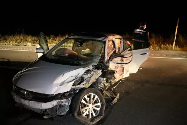 Domuz sürüsünün neden olduğu trafik kazasında 6 kişi yaralandı