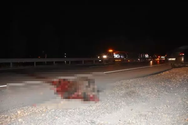 Son dakika haber... YOLA ÇIKAN DOMUZ SÜRÜSÜ KAZAYA NEDEN OLDU 6 YARALI