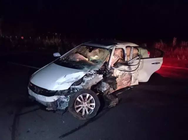 Yola çıkan domuz sürüsü kazaya neden oldu: 6 yaralı