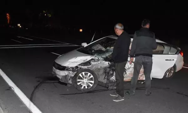 Son dakika haber... YOLA ÇIKAN DOMUZ SÜRÜSÜ KAZAYA NEDEN OLDU 6 YARALI