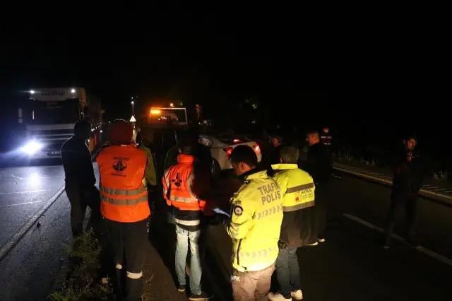 Yola çıkan domuz sürüsü kazaya neden oldu: 6 yaralı