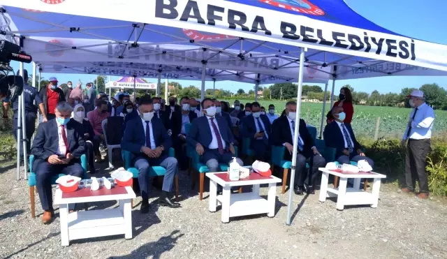 Bafra'da tarla okulu çalışması