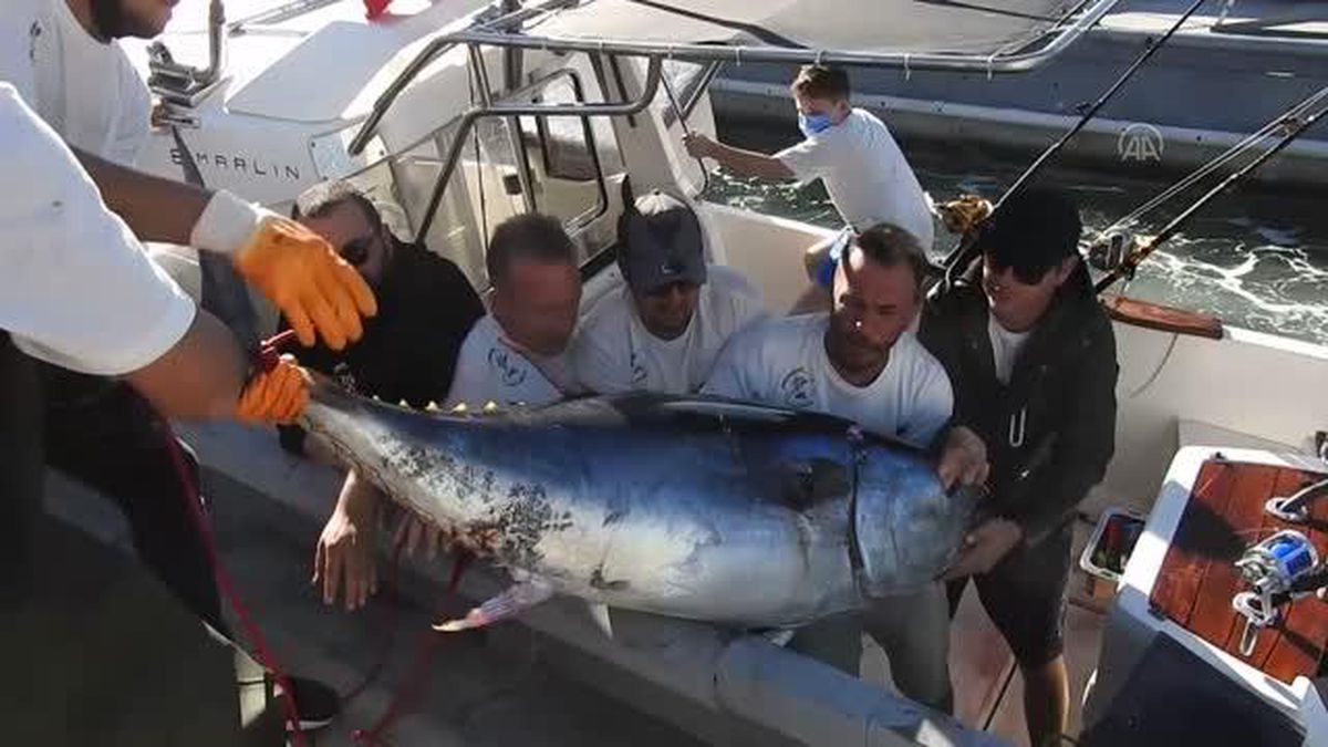 Big Fish Türkiye Turnuvası sona erdi