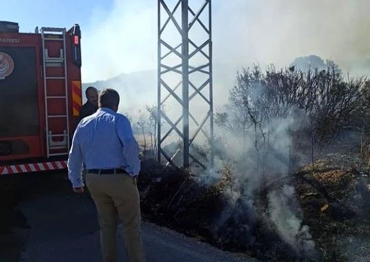 Son dakika haber | Çeşme'de sigara izmaritinden çıktığı düşünülen yangın zeytinlik alana sıçradı