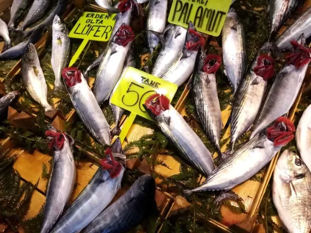 Geçen hafta yaşanan fırtına nedeniyle balık fiyatlar cep yakıyor! Hamsi 40 liraya dayandı