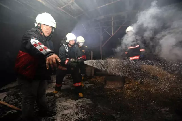 Mersin Büyükşehir İtfaiyesi, 8 Ayda 15 Bin 993 Görevi Yerine Getirdi