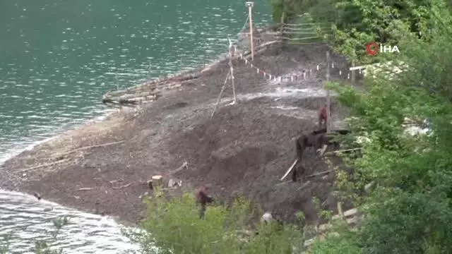 Son dakika haber: Ölüme terk edilen atlara barınak bulunamayınca genç turizmci tesisini açtı