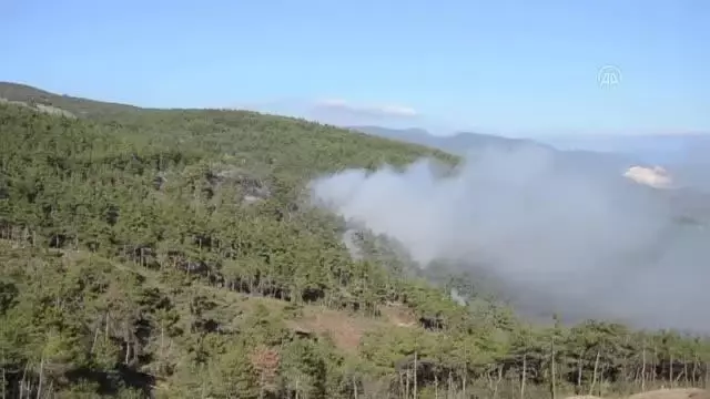 Orman yangınında 6 dönümlük alan zarar gördü